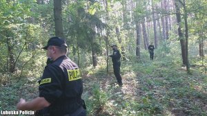 Zdjęcie przedstawia trzech policjantów przeszukujących teren lasu.