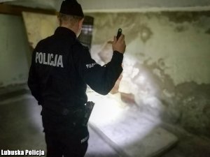 Na zdjęciu widać policjanta z latarką sprawdzającego pustostany.