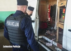 policjanci kontrolujący busa