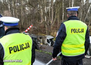 policjanci Wydziału Ruchu Drogowego stojący na drodze