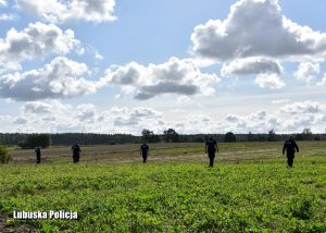 Przeszukiwanie pół i zagajników