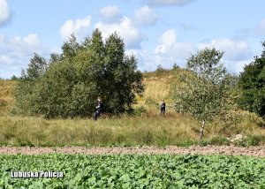 Przeszukiwanie pół i zagajników