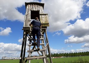 Przeszukiwanie pół i zagajników