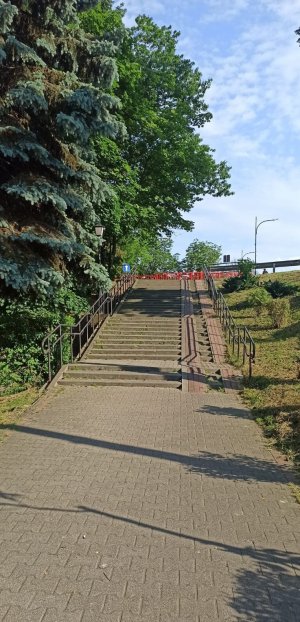 szeroki chodnik przechodzący w schody 3 poziomowe z szerokim podjazdem dla osób niepełnosprawnych, po prawej park i drzewa, po lewej wzniesienie