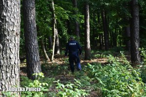 Umundurowany policjant chodzący w lesie