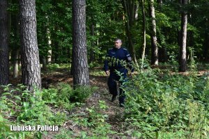 Umundurowany policjant chodzący po lesie
