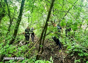 Policjanci idący przez gęsty, zielony las