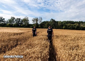 Policjanci idący przez pole