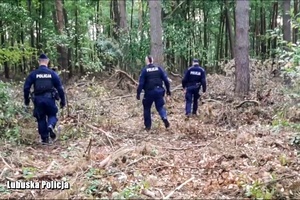 Policjanci w lesie szukają zagubionej kobiety