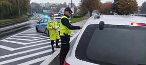 Policjant z pracownicą urzędu kontrolują trzeźwość przy drodze. Obok stoi auto, w tle radiowozy.