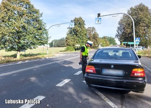 Policjant kontroluje pojazd