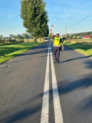 Policjant daje znak do zatrzymania się pojazdu