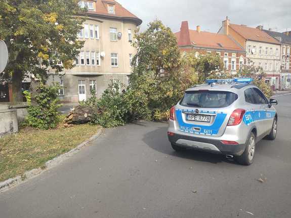 Uwaga na trudne warunki zwiazane z silnymi podmuchami wiatru!