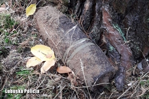 Zaginiony mężczyzna w lesie, odnaleziony przez patrol, niewybuch pod drzewem