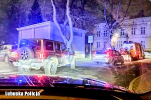 zdjęcia z miejsc poszukiwań