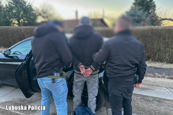 Podejrzany o liczne włamania do altanek zatrzymany przez policjantów