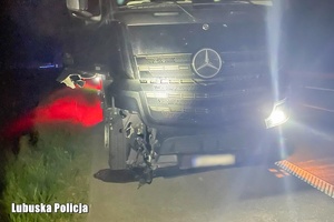 rozbite pojazdy na autostradzie